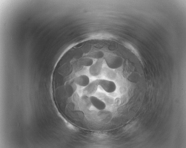 X0000068771103200605051625