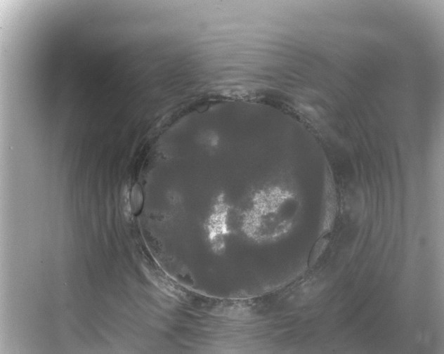 X0000068771106200605051624