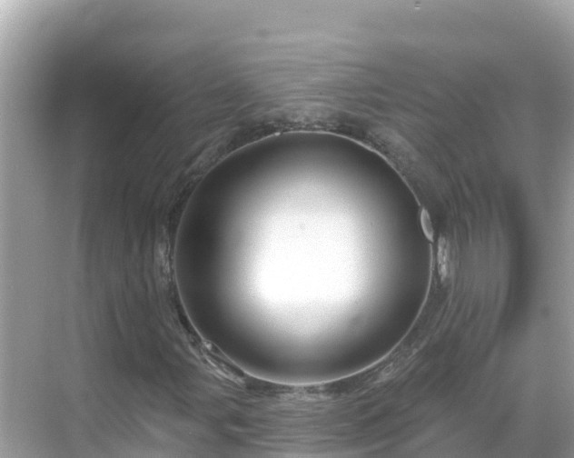 X0000068771107200605051624