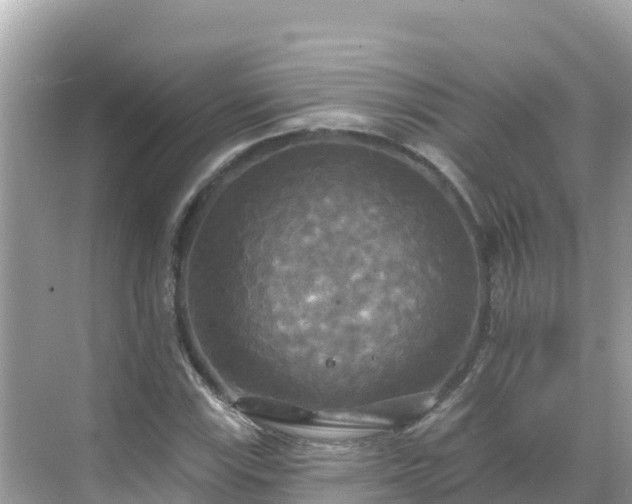 X0000068771115200605051624