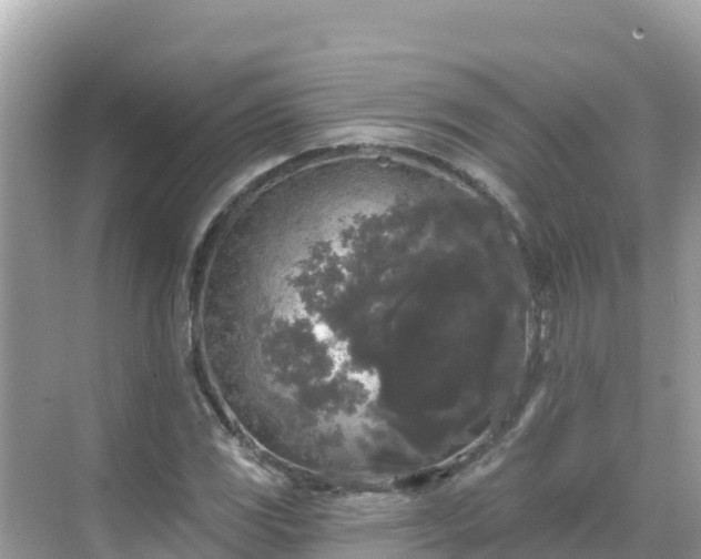 X0000068771117200605051624