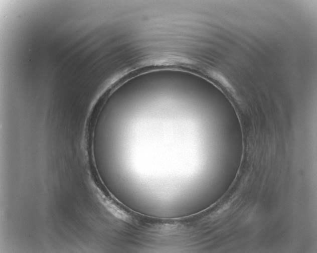 X0000068771122200605051624