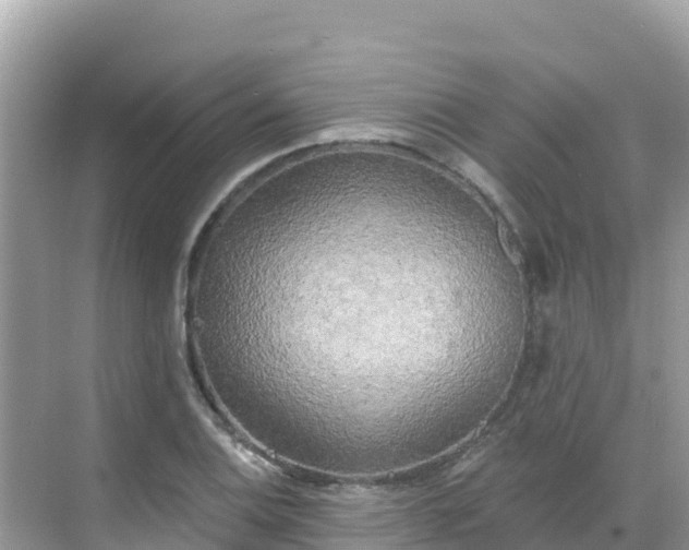 X0000068771124200605051625