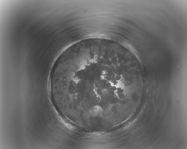 X0000068771125200605051625