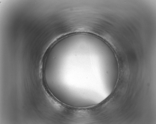 X0000068771126200605051625