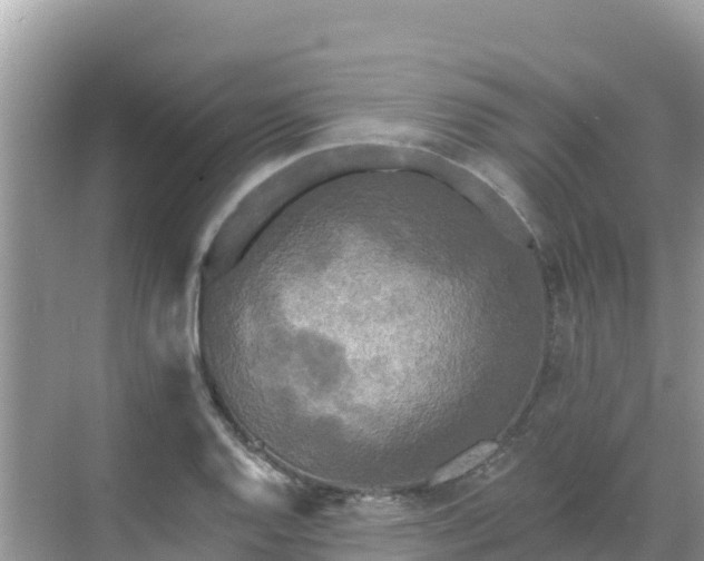 X0000068771128200605051625