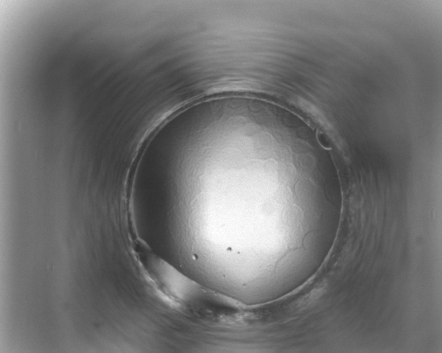 X0000068771129200605051625