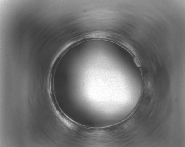 X0000068771131200605051625