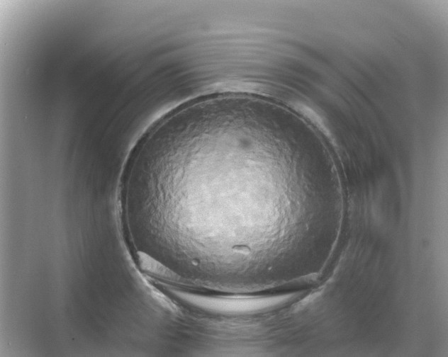 X0000068771133200605051625