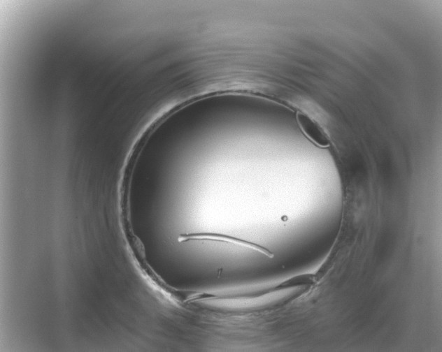 X0000068771135200605051625