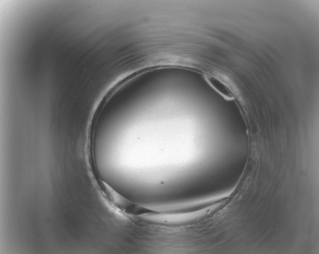 X0000068771136200605051625