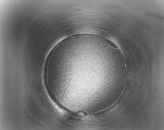 X0000068771139200605051625