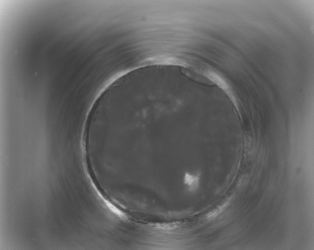 X0000068771141200605051625