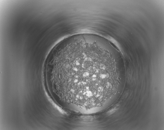 X0000068771142200605051625