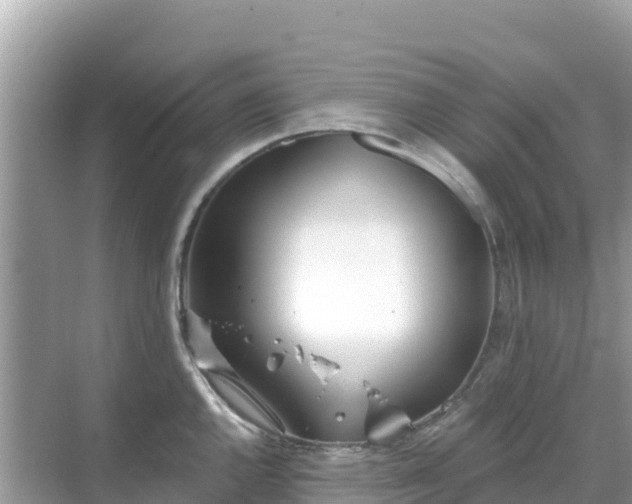 X0000068771144200605051625