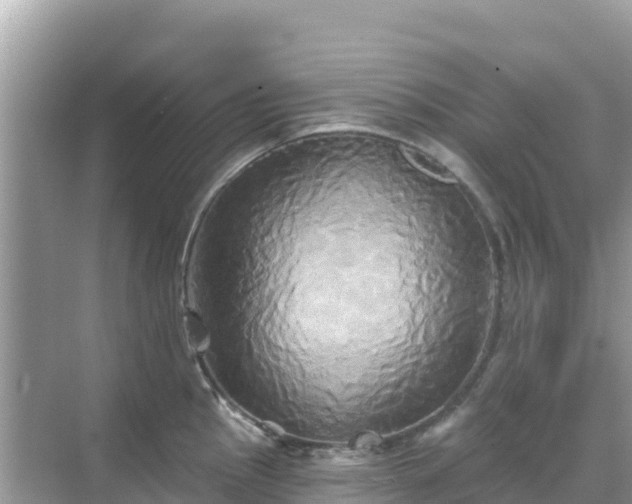 X0000068771145200605051625