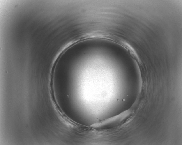 X0000068771146200605051625