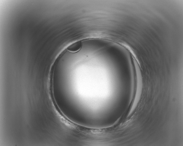 X0000068771147200605051625