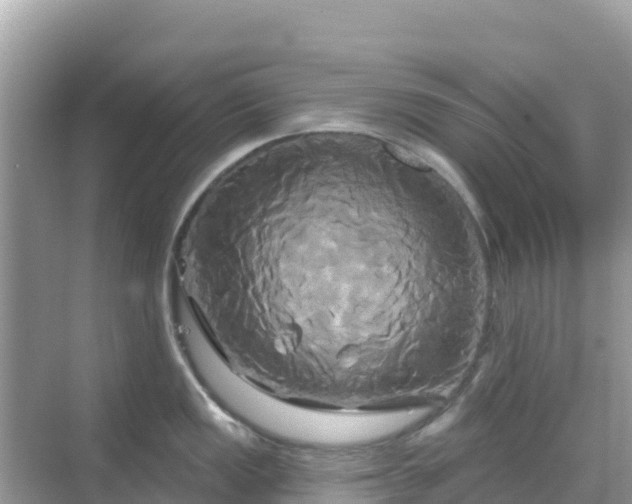 X0000068771149200605051625