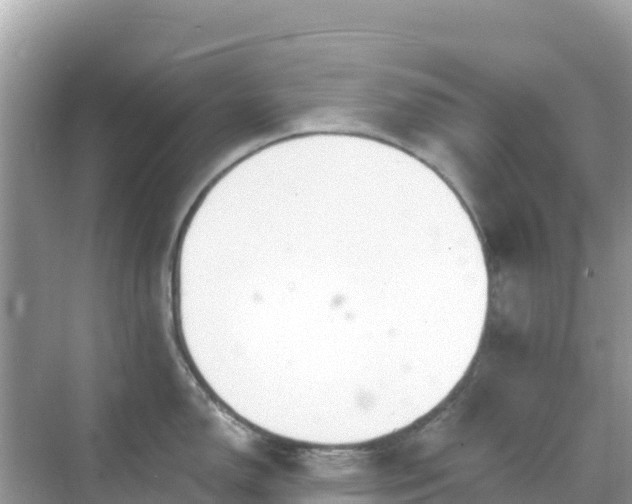 X0000068771150200605051625