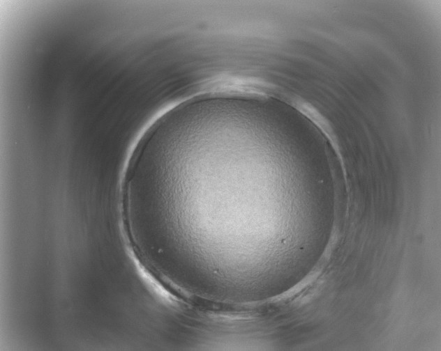 X0000068771152200605051625