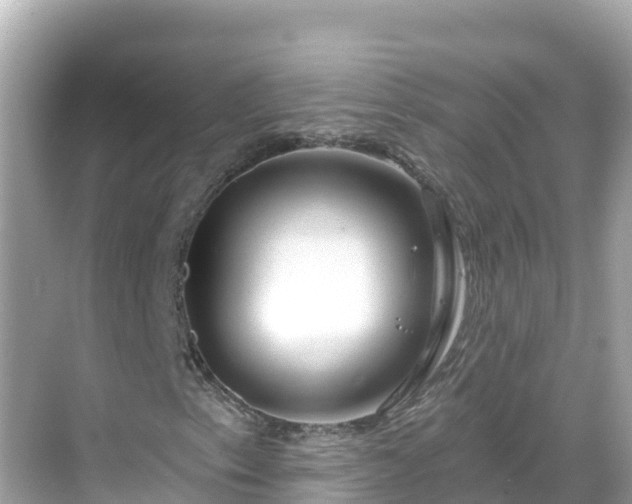 X0000068771153200605051624