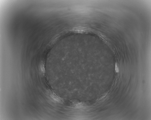 X0000068771155200605051624