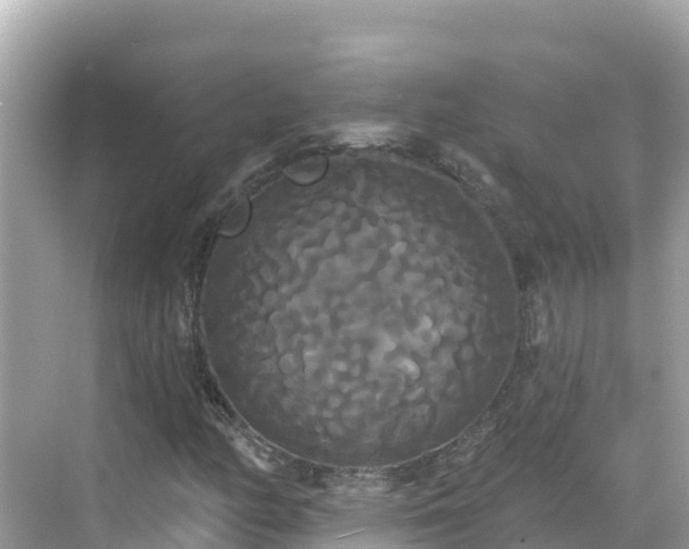 X0000068771158200605051624