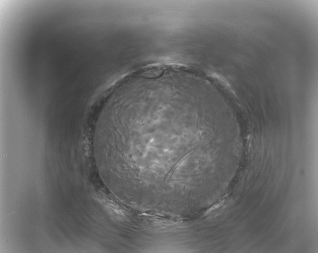 X0000068771159200605051624