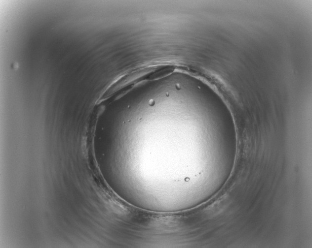 X0000068771162200605051624