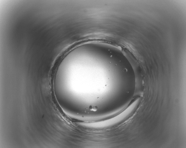 X0000068771164200605051624