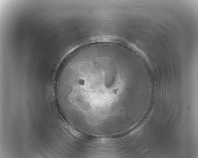 X0000068771166200605051624