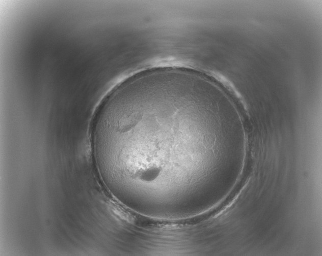 X0000068771167200605051624