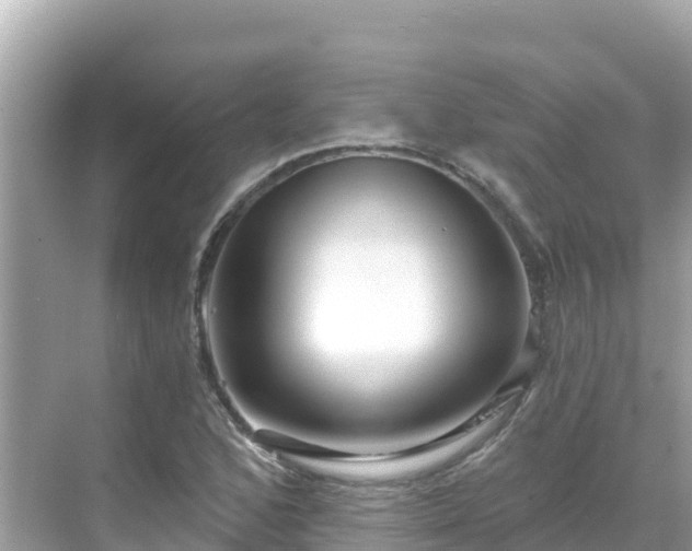 X0000068771168200605051624