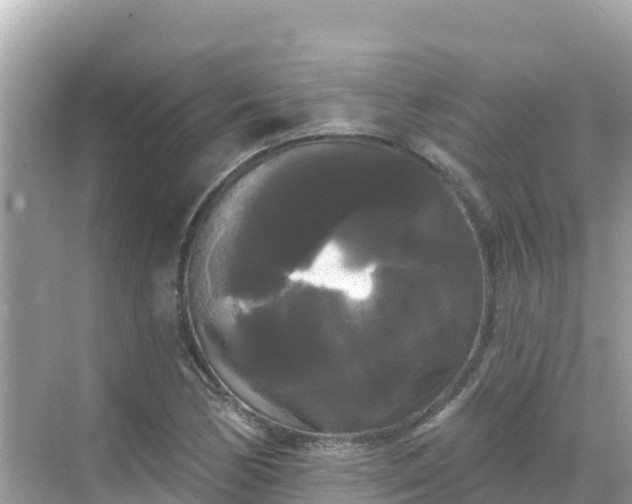 X0000068771170200605051624