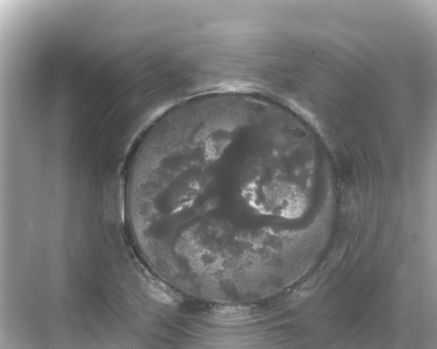 X0000068771171200605051624