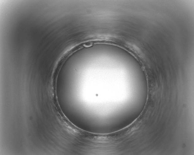 X0000068771172200605051624