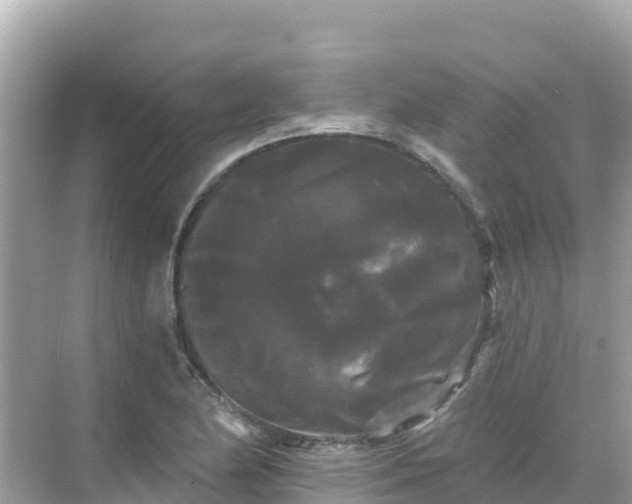 X0000068771174200605051624