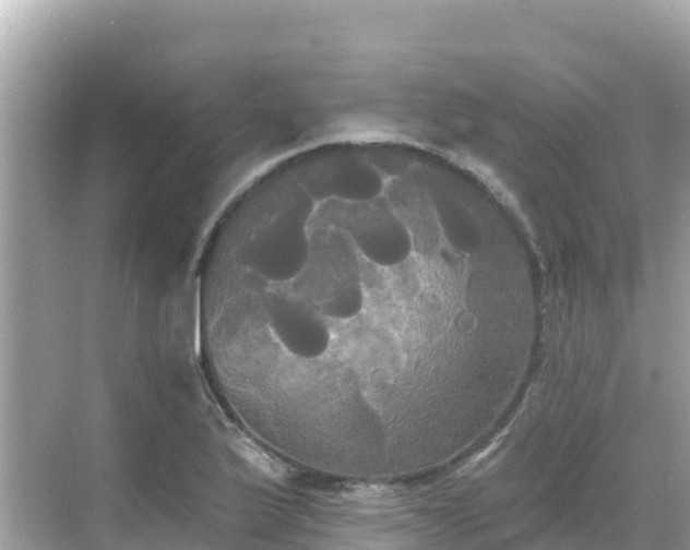 X0000068771175200605051624