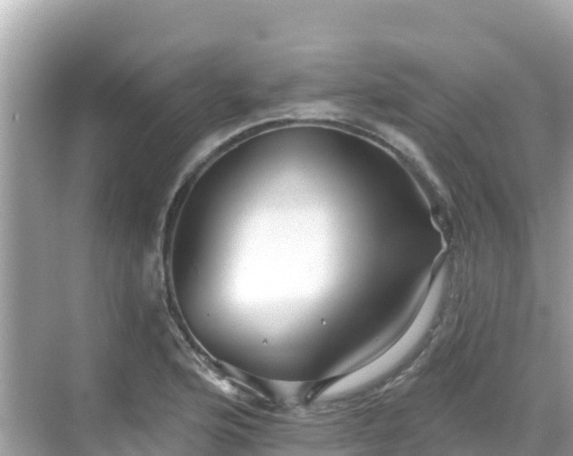 X0000068771176200605051624