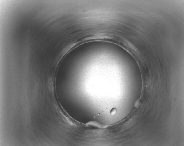 X0000068771177200605051624