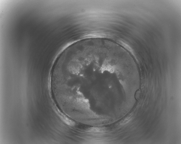 X0000068771179200605051624