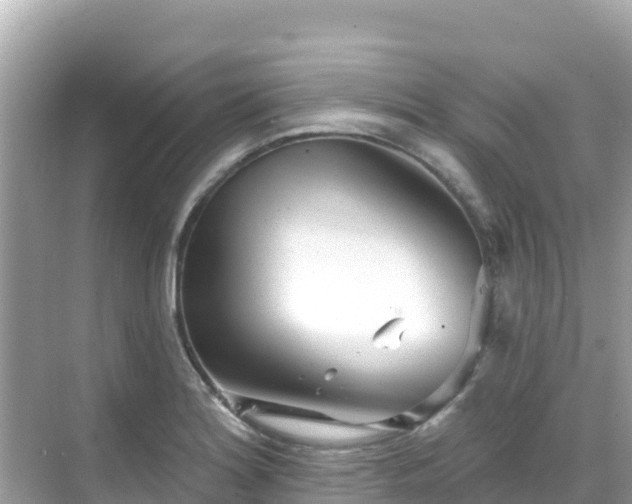 X0000068771180200605051624