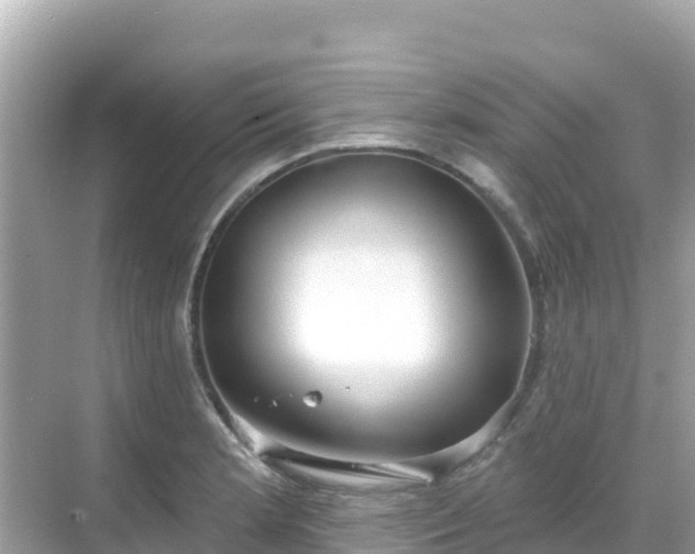 X0000068771181200605051624