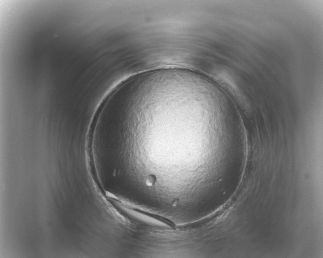 X0000068771182200605051624