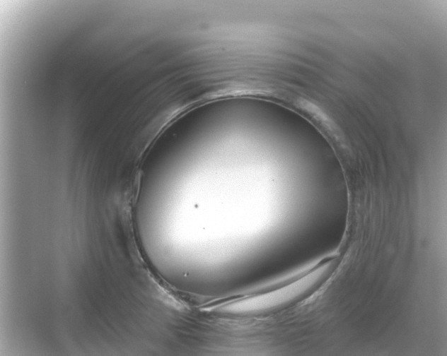 X0000068771185200605051624