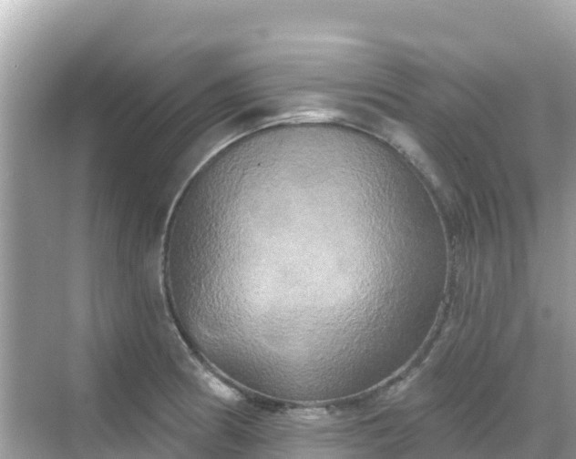 X0000068771186200605051624