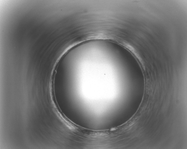 X0000068771187200605051624