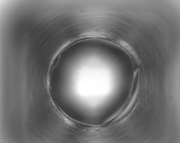 X0000068771188200605051624