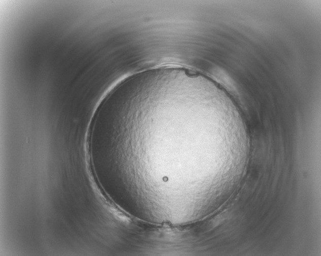 X0000068771190200605051624